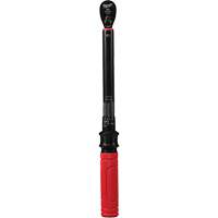 Cl&eacute; dynamom&eacute;trique, &agrave; cliquer, Entraînement 3/8" carr&eacute;, 20 - 100 lb-po/27,1 - 135,6 Nm Industrial Sales