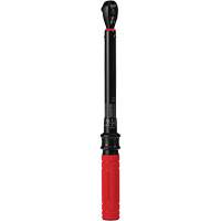 Cl&eacute; dynamom&eacute;trique, &agrave; cliquer, Entraînement 3/8" carr&eacute;, 20 - 100 lb-po/27,1 - 135,6 Nm Industrial Sales