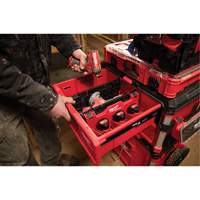 Divider for PACKOUT Drawer Tool Boxes Industrial Sales