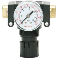 D&eacute;tendeur &agrave; piston en ac&eacute;tal MODULAIR 200, 1/4" NPT, PSI max. de 150 psi, Canalisation/Modulaire Industrial Sales