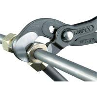 Pince Raptor, 10" Industrial Sales