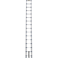 Telescopic Ladder, 3' - 15.5', Aluminum, 250 lbs. Capacity, Type 1 Industrial Sales