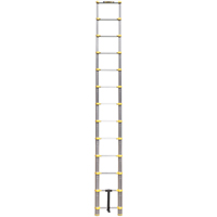 Telescopic Ladder, 3' - 12', Aluminum, 250 lbs. Capacity, Type 1 Industrial Sales
