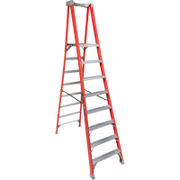 Industrial Heavy-Duty Pro Platform Stepladders (FXP1700 Series), 8', 300 lbs. Cap. Industrial Sales