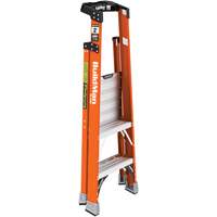 Safespace Platform Step Ladder, 2', 300 lbs. Cap. Industrial Sales