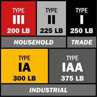Step Ladder with Paint Tray, 10', Aluminum, 225 lbs. Capacity, Type 2 Industrial Sales