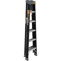 Step Ladder with Paint Tray, 6', Fibreglass, 250 lbs. Capacity, Type 1 Industrial Sales