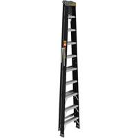 Step Ladder with Paint Tray, 10', Fibreglass, 250 lbs. Capacity, Type 1 Industrial Sales