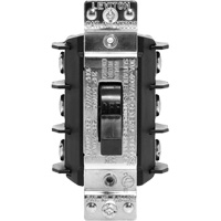 Interrupteur manuel monophas&eacute; Industrial Sales