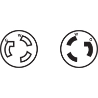 2-Pole 3-Wire Grounding Locking Plug, Nylon, 15 Amps, 250 V, L6-15P Industrial Sales
