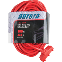 Cordon rallonge en vinyle, Ext&eacute;rieur, SJTW, AWG 12/3, 15 A, 3 prise(s), 100' Industrial Sales