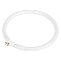 Ampoule fluorescente de rechange pour lampes-loupes Rhinomag, 22 W Industrial Sales