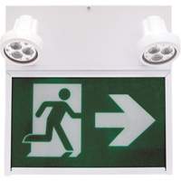Running Man Exit Sign, LED, Battery Operated/Hardwired, 12" L x 12 1/2" W, Pictogram Industrial Sales
