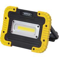 Lampe de travail portative, DEL, 10 W, 1000 lumens, Boîtier en Plastique Industrial Sales