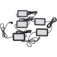 Chaîne de baladeuses DEL, 5 Lumi&egrave;res, 50' lo, Boîtier en Plastique Industrial Sales