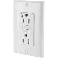 SmartlockPro&reg; Extra Heavy-Duty Self-Test GFCI Receptacle Industrial Sales