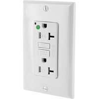 SmartlockPro&reg; Extra Heavy-Duty Self-Test GFCI Receptacle Industrial Sales