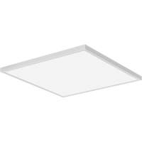 Panneau d'&eacute;clairage commutable Lumen, DEL, 120 V, 20 - 89 W, 24" la x 24" lo Industrial Sales