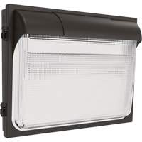 Applique murale TWX3, DEL, 347 V, 14" ha x 18" la x 5" p Industrial Sales