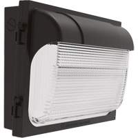 Applique murale TWX, DEL, 480 V, 9 W - 54 W, 14" ha x 18" la x 5" p Industrial Sales