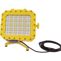 Explosion Proof Floodlight with Floor Stand, LED, 40 W, 5600 Lumens, Aluminum Housing Industrial Sales