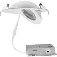 Gimbal Light Fixture, LED, 120 V, 9 W Industrial Sales