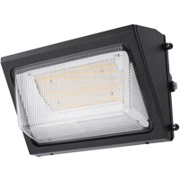 Wall Pack Light Fixture, LED, 120 -347 V, 80 W Industrial Sales