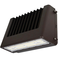 Wall Pack Light Fixture, LED, 120 V, 80 W, 6.5" H x 9.3" W x 14.4" D Industrial Sales
