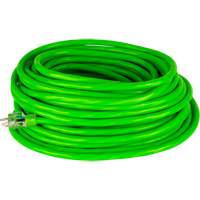 Industrial Extension Cord, All-Weather, SJTW, 10/3 AWG, 15 A, 50' Industrial Sales