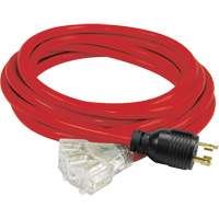 Generator Extension Cord with Tritap, STW, 10 AWG, 3 Outlet(s), 25' Industrial Sales