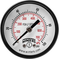 Economy Pressure Gauge, 2" , 0 - 100 psi, Back Mount, Analogue Industrial Sales