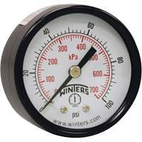 Economy Pressure Gauge, 2" , 0 - 160 psi, Back Mount, Analogue Industrial Sales