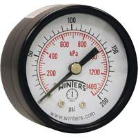 Economy Pressure Gauge, 2" , 0 - 200 psi, Back Mount, Analogue Industrial Sales