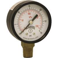 Economy Pressure Gauge, 2" , 0 - 30 psi, Bottom Mount, Analogue Industrial Sales
