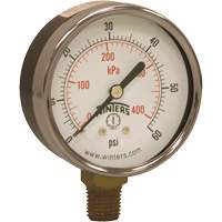 Economy Pressure Gauge, 2-1/2" , 0 - 60 psi, Bottom Mount, Analogue Industrial Sales